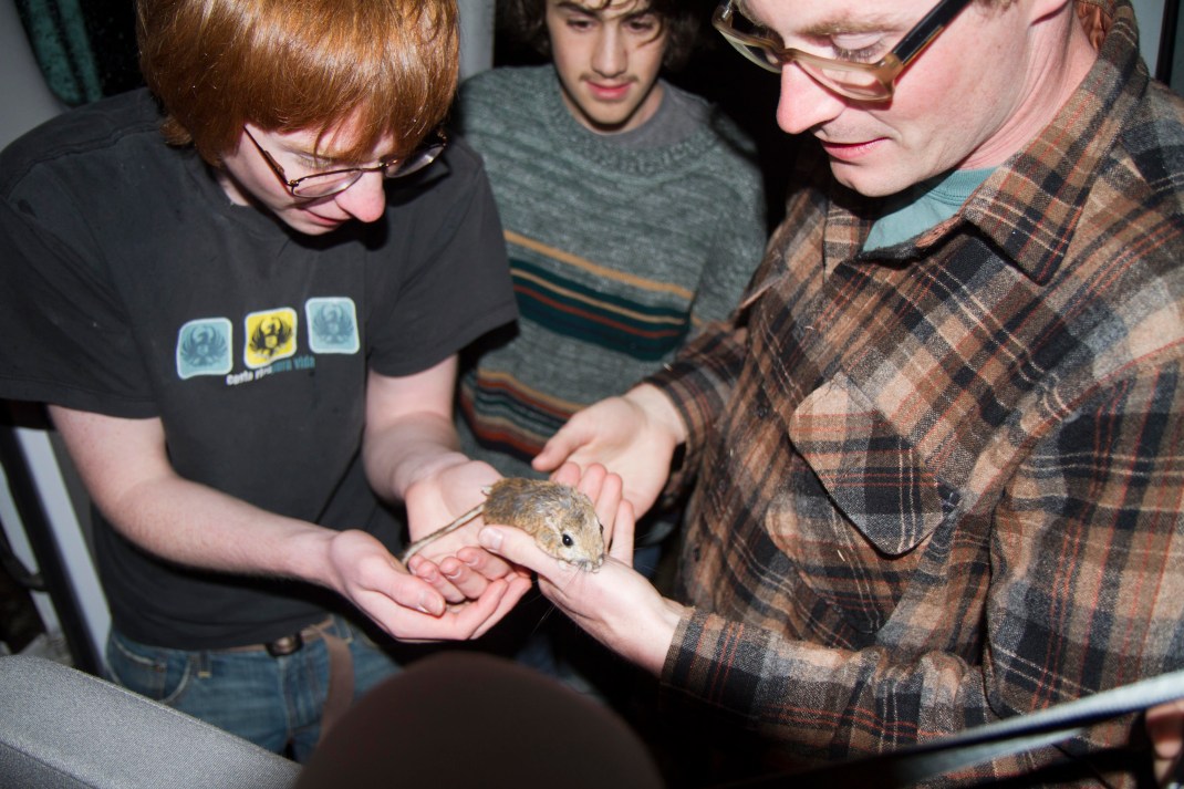 Our friendly guest. Photo by Eric Harlow