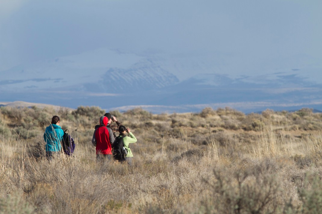 Scouring the shrub steppe for birds, with Steens Mountain in the background. Photo by Eric Harlow