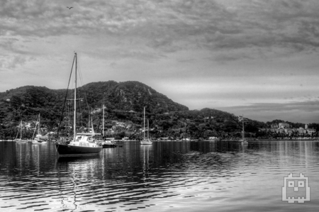 Photo by Zachary Shane Orion Lough