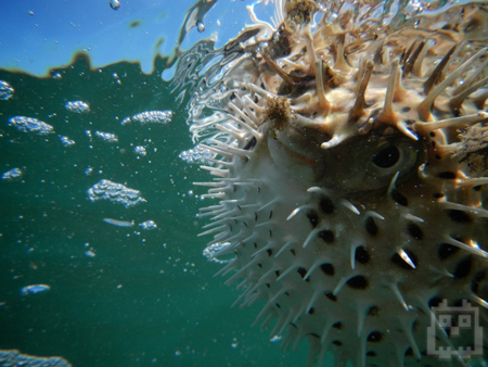 Photo by Zachary Shane Orion Lough