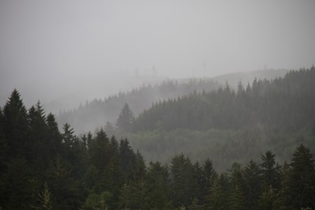 The soggy Wilipa Hills above Rainbow Falls State Park 3