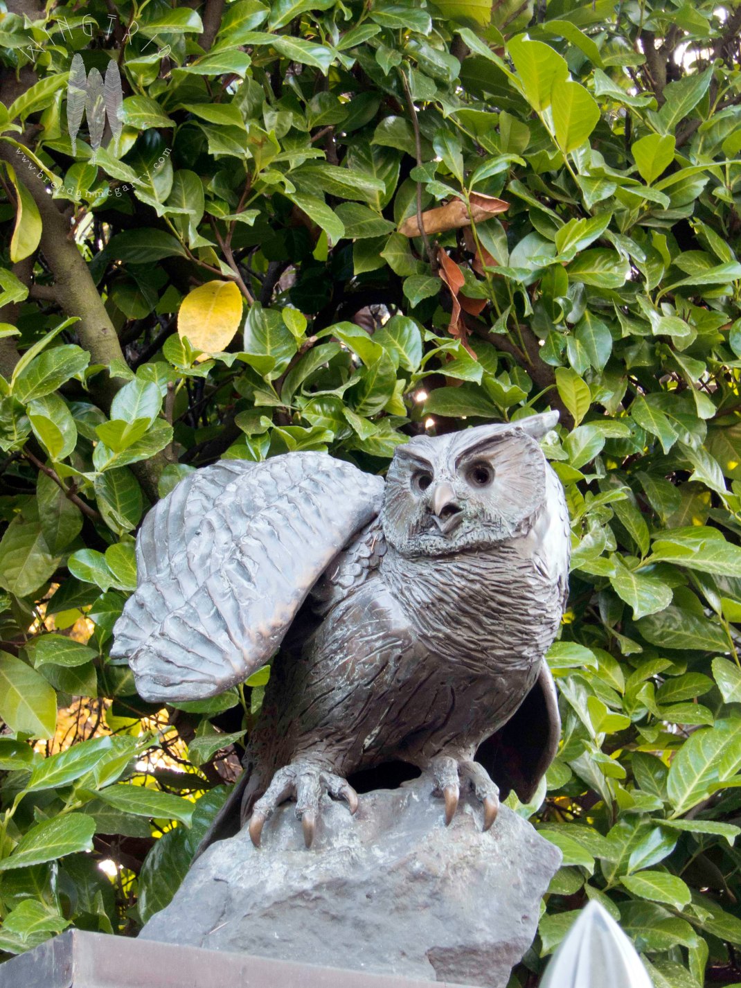 I want one of these at the entry to my house!