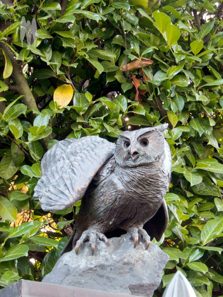 I want one of these at the entry to my house!