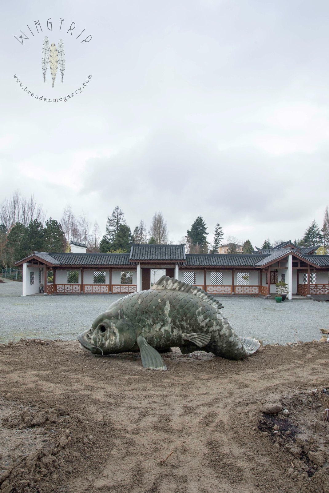 A fish out of water at the Chinese Gardens.