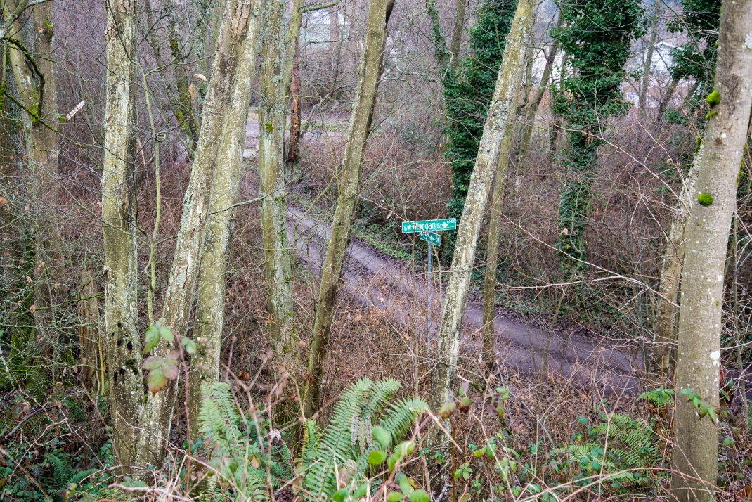 Just another Seattle street.