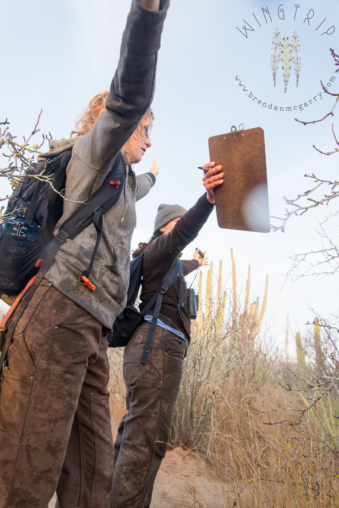 13607372053_cbf956055e_b