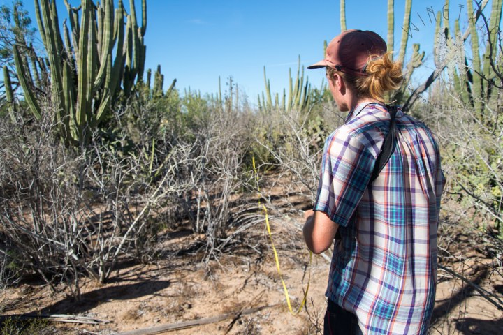 13607611023_7fc901d0b0_b