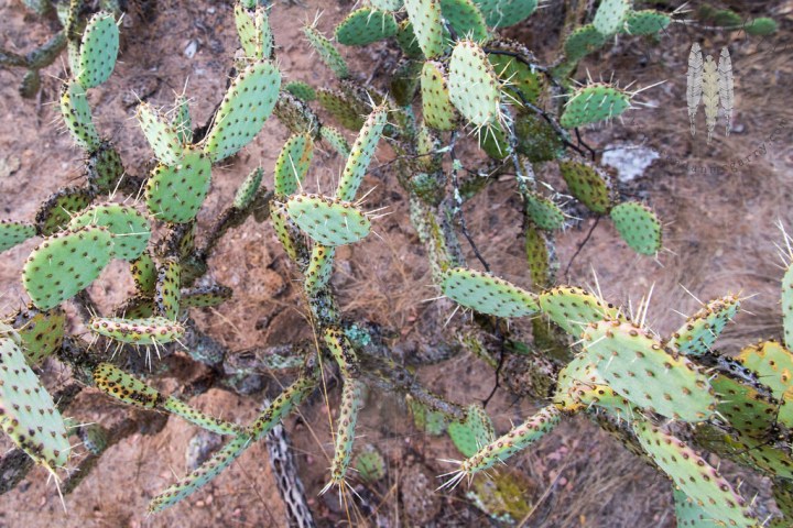 13607640414_fa932387bc_b