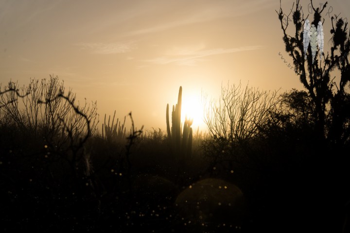 13607665244_f3b0ae370e_b