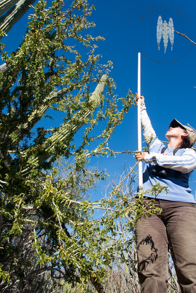 13607680233_55017d2e3a_b