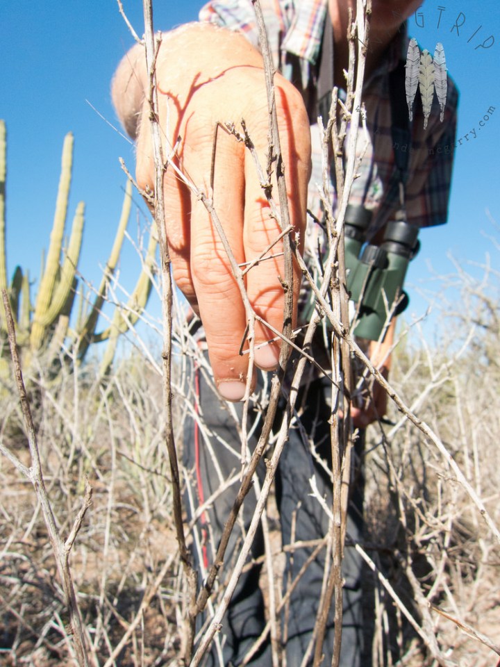 13607696255_884a034efd_b