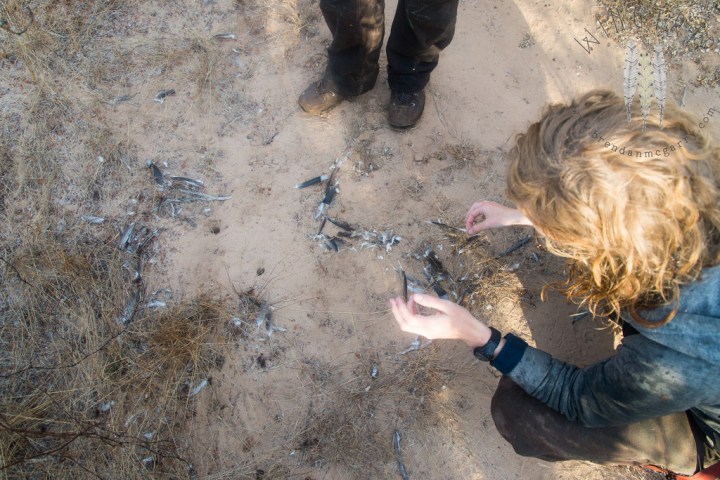 13607824994_71094095b4_b