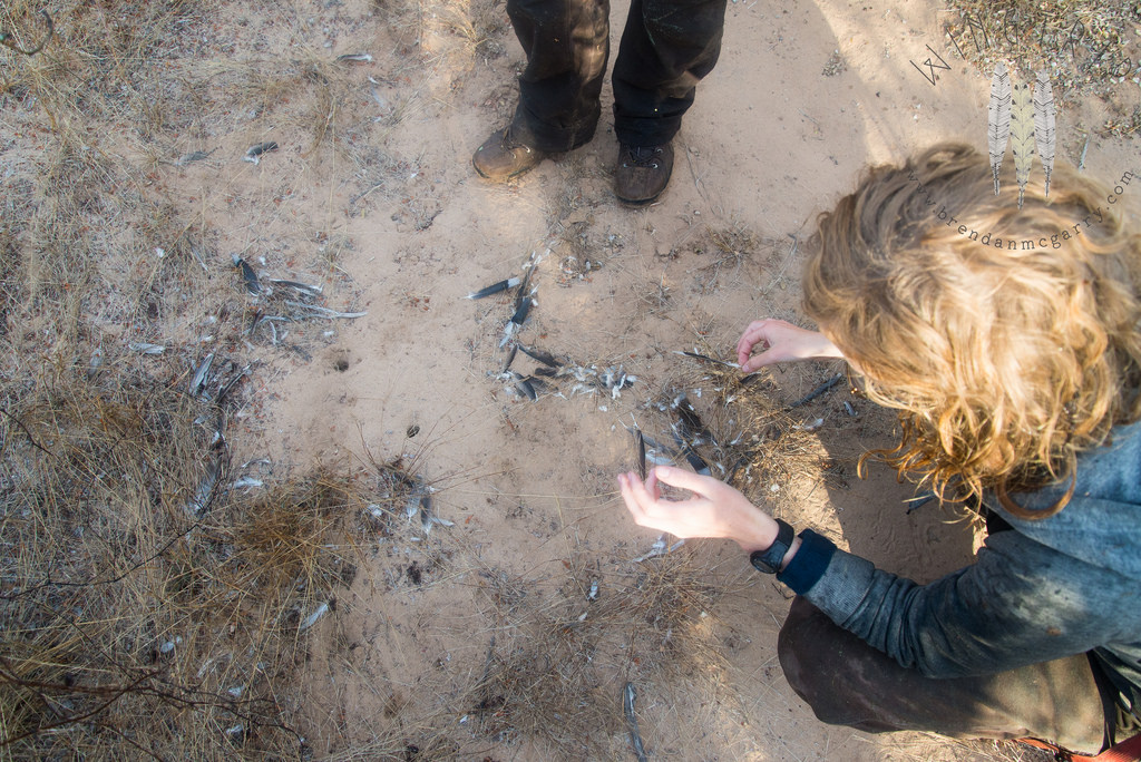 13607824994_71094095b4_b