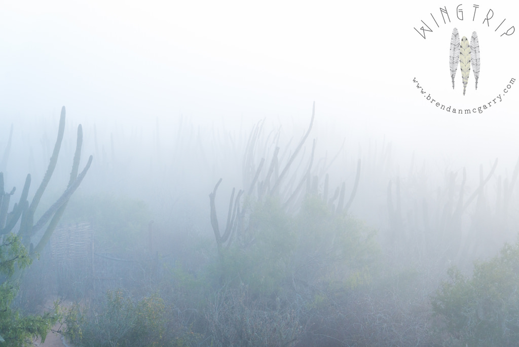 13608143814_a8bae0e2fd_b