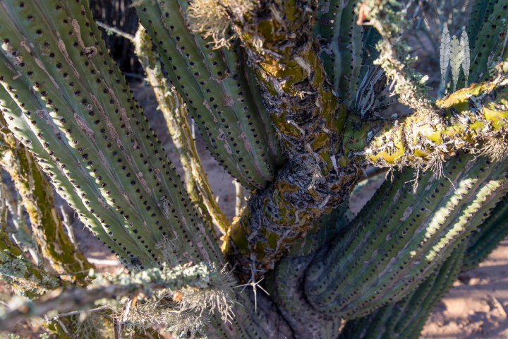 13615574763_23c37de2f8_b