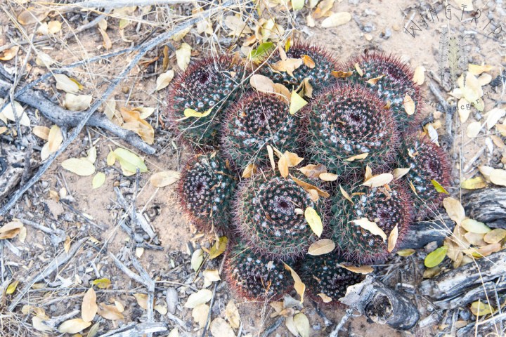 13615919654_32570ff558_b