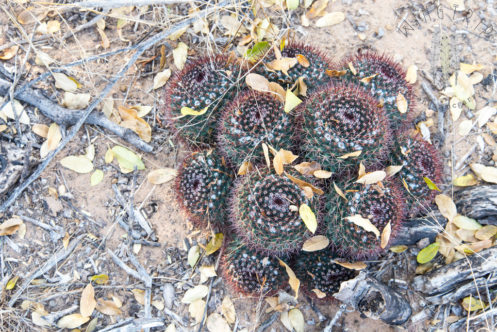 13615919654_32570ff558_b