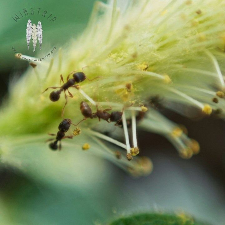 PicsArt_1397525312100