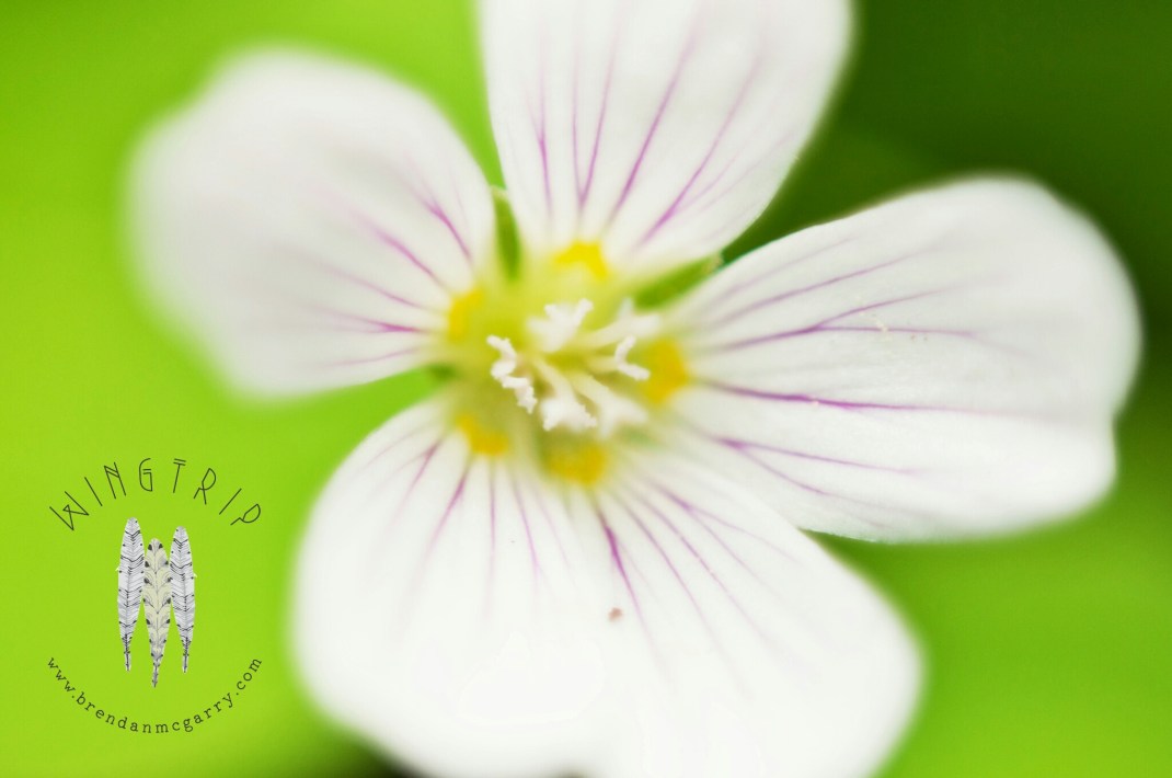 PicsArt_1398231885380