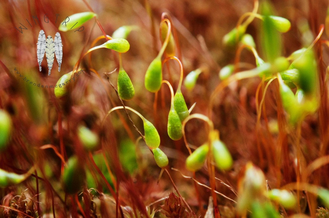 PicsArt_1398231938367