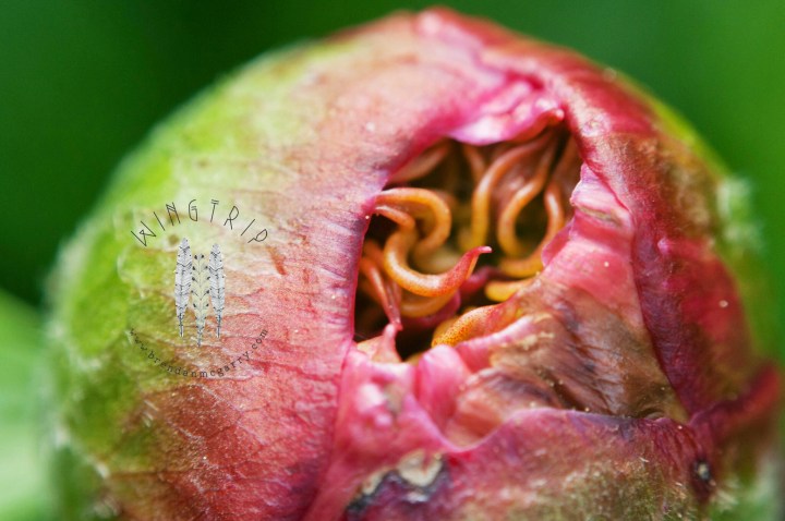 PicsArt_1398232039220