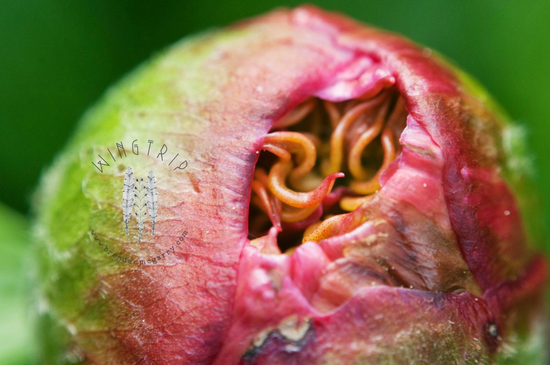 PicsArt_1398232039220