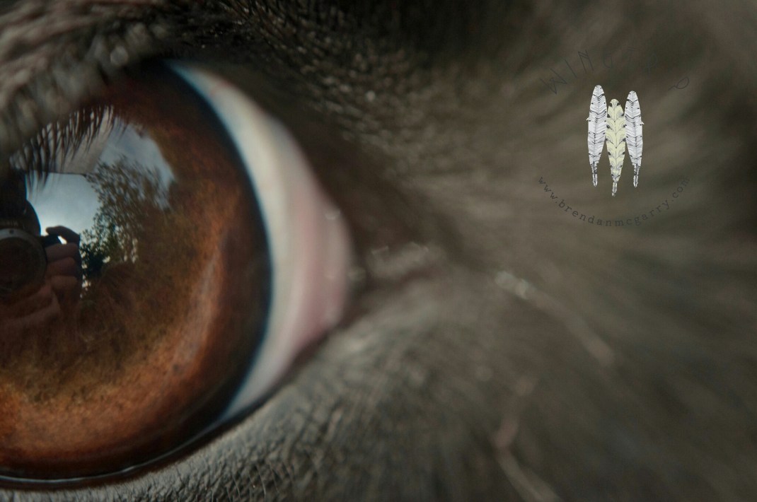 PicsArt_1398232116249