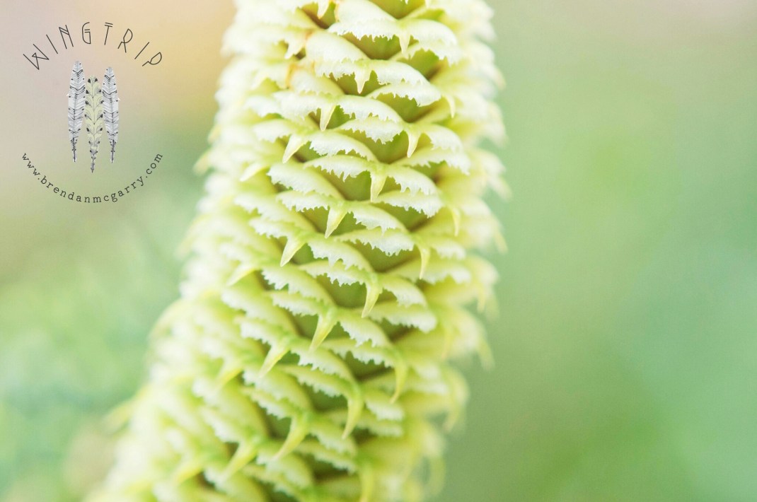 PicsArt_1398232165130