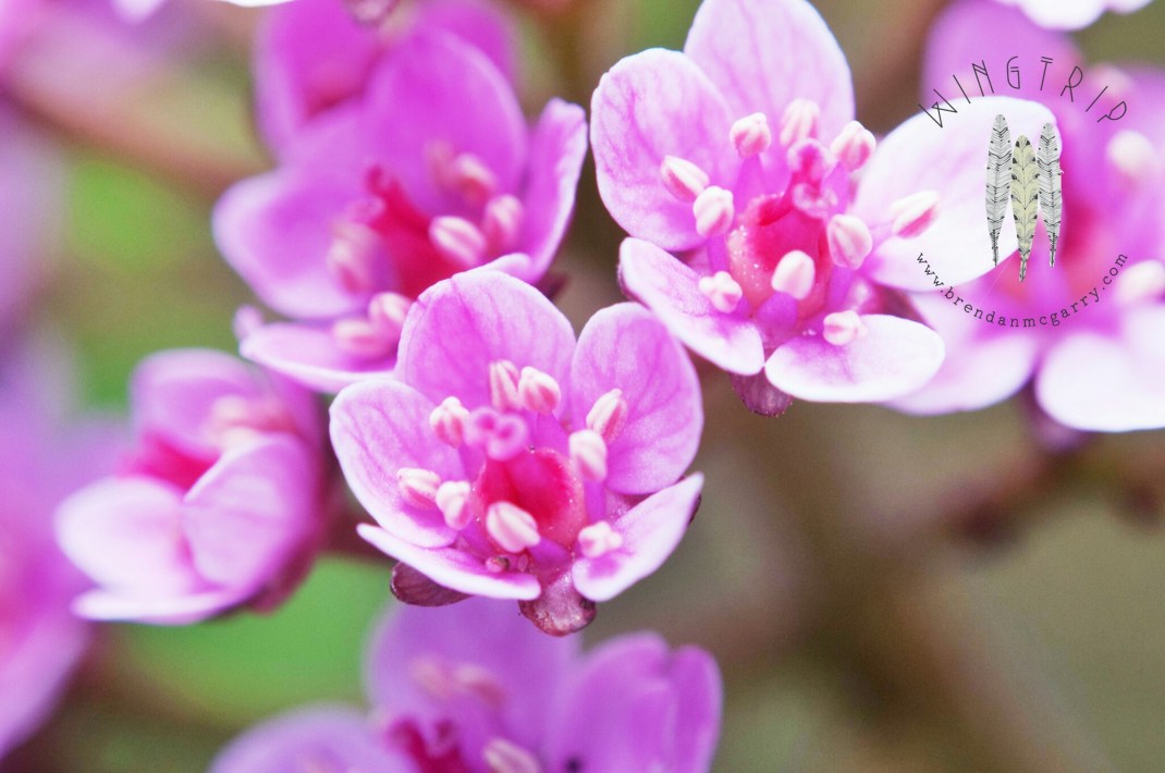 PicsArt_1398232209015