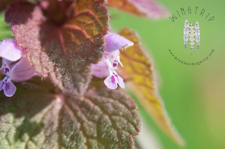 PicsArt_1398232294493