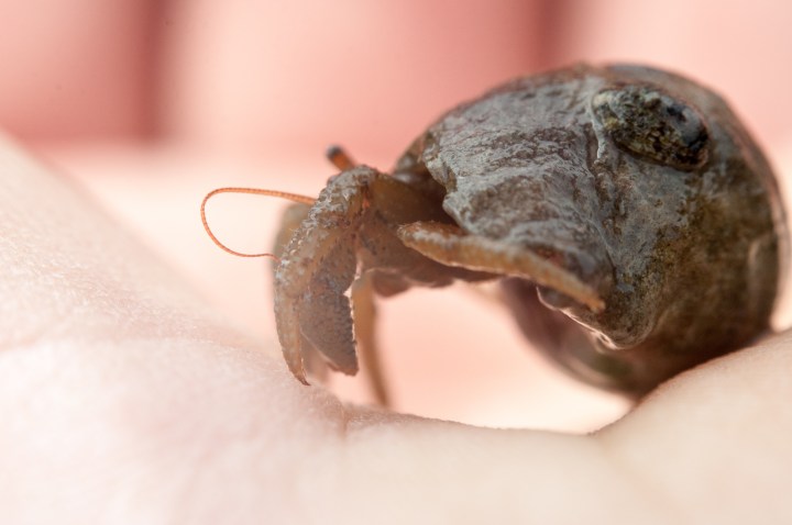 Brendan_McGarry_140502_00039