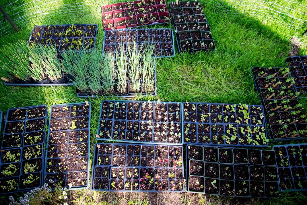 Brendan_McGarry_140505_00221