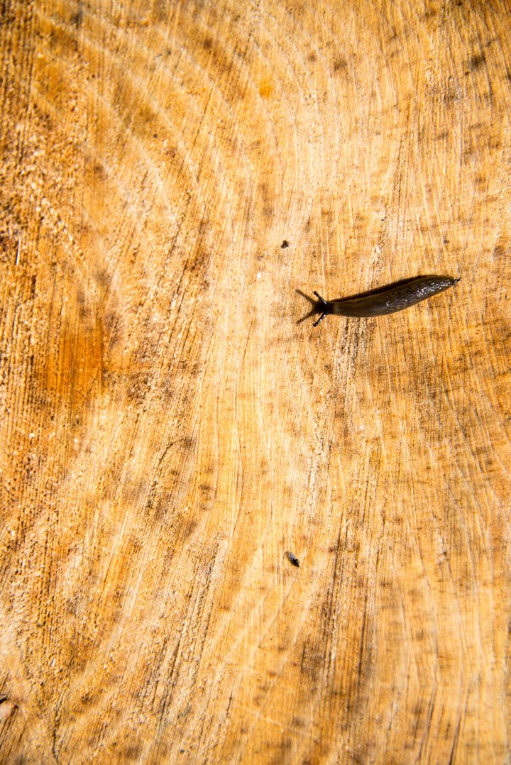 Brendan_McGarry_140505_00238