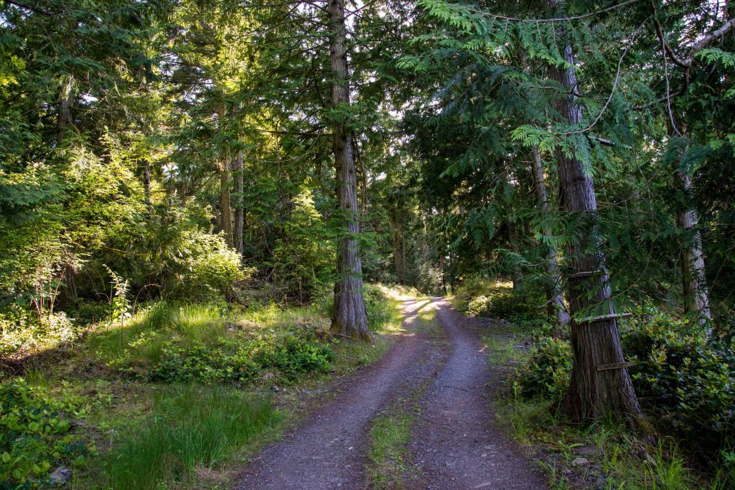 Brendan_McGarry_140604_00009