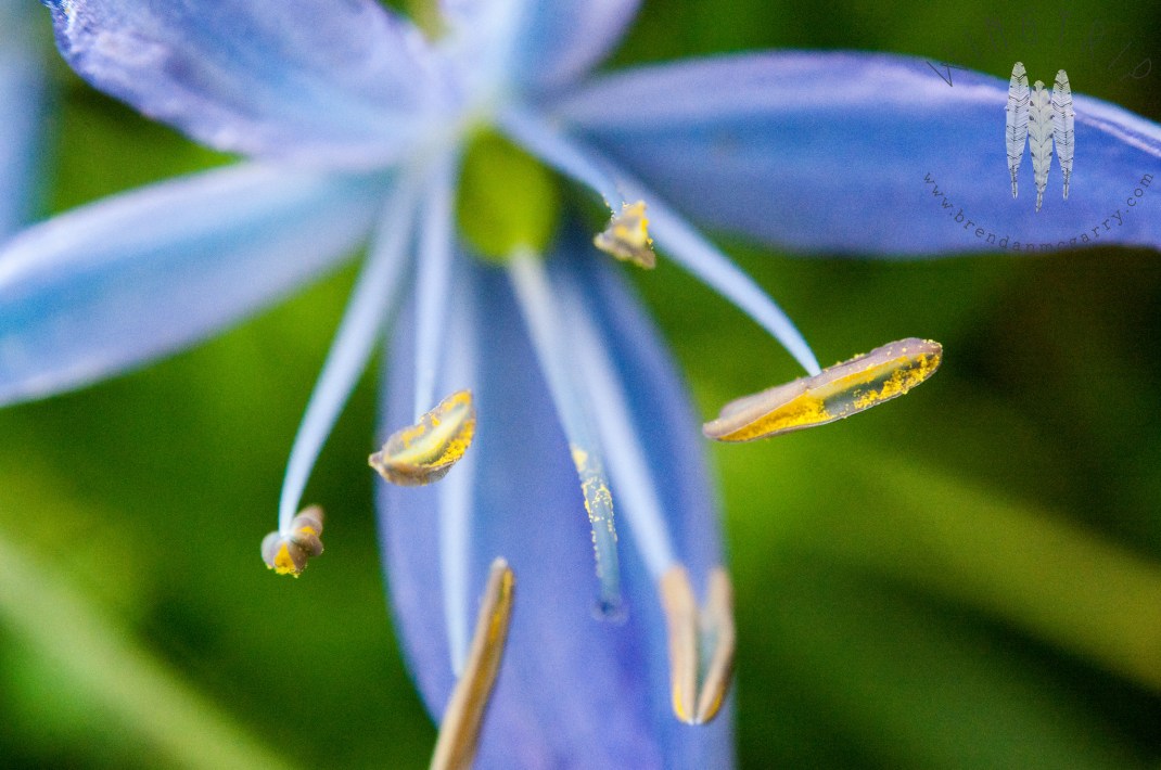 14141660015_859c0019ff_k