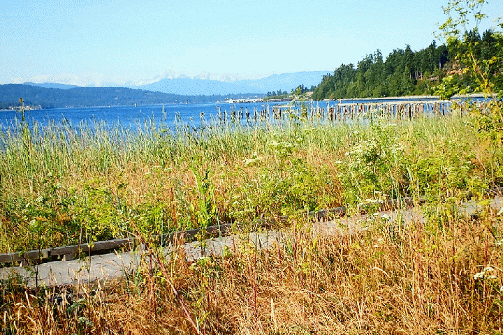 2014-07-07-18-38-02-113-MOTION