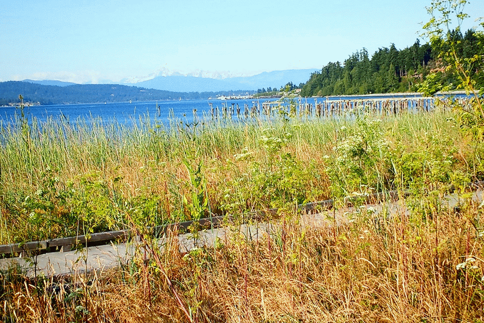 2014-07-07-18-38-02-113-MOTION