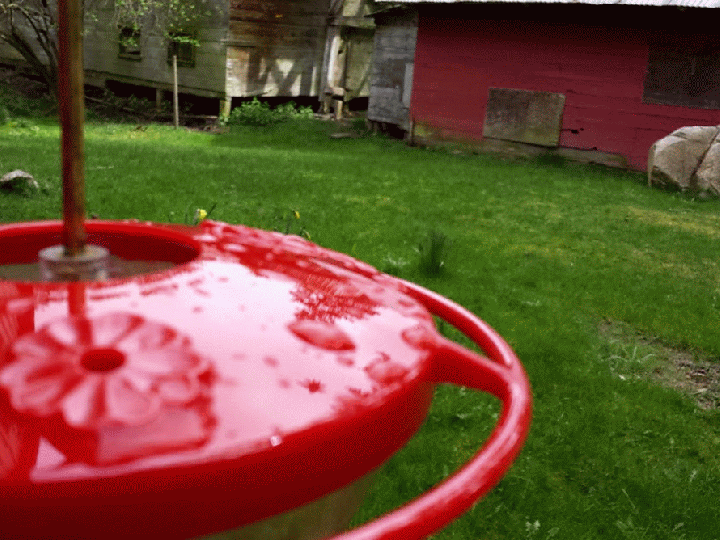 20140329_133736-MOTION