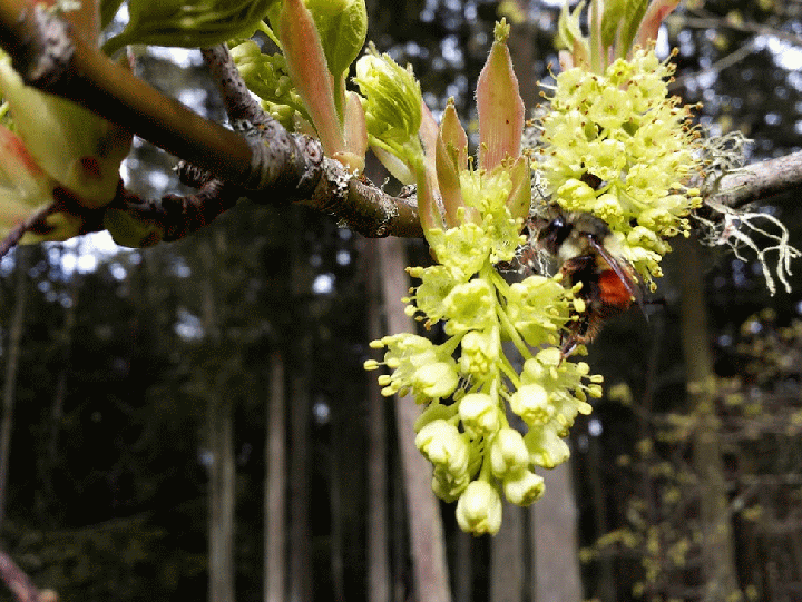 20140329_160227_1-MOTION