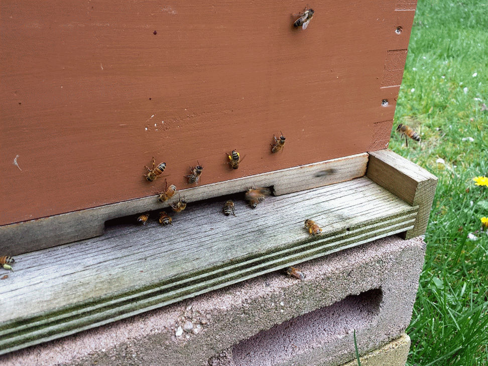 20140406_150244_1-MOTION