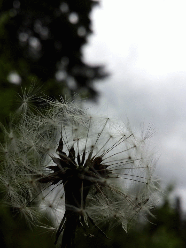 20140510_161614_1-MOTION