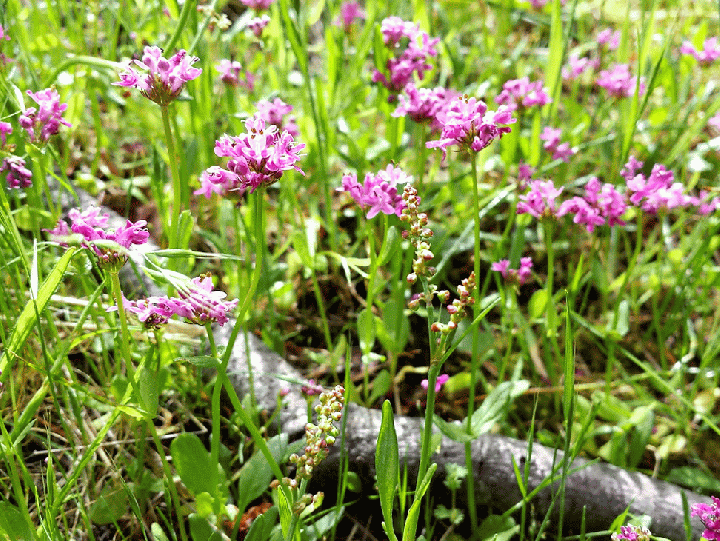 20140522_105450_2-MOTION