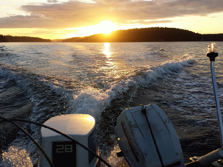 20140620_204829_1-MOTION