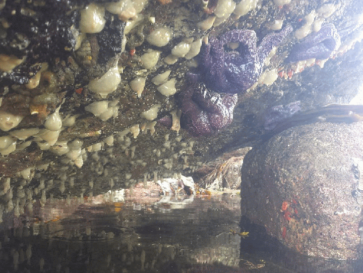 20140712_103018_1-MOTION