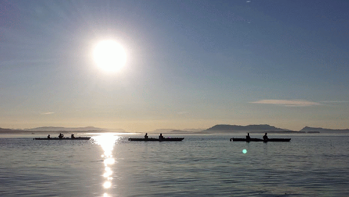 20140729_194224_1-MOTION