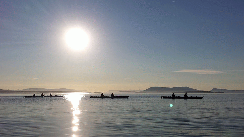 20140729_194224_1-MOTION