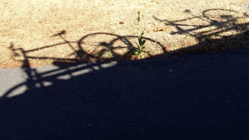 20140807_171711_1-MOTION