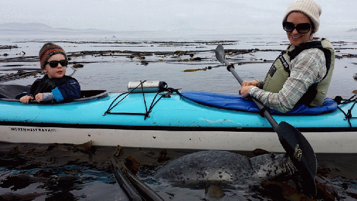 20140816_120751_1-MOTION