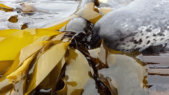 20140816_122505_1-MOTION