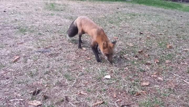 20140824_201321_1-MOTION